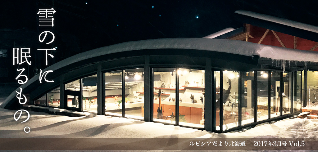 雪の下に眠るもの。