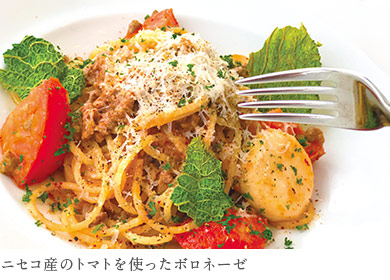 ニセコ産のトマトを使ったボロネーゼ