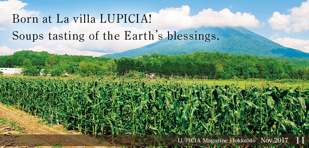 Born at La villa LUPICIA! Soups tasting of the Earth’s blessings.