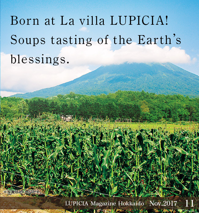 Born at La villa LUPICIA! Soups tasting of the Earth’s blessings.