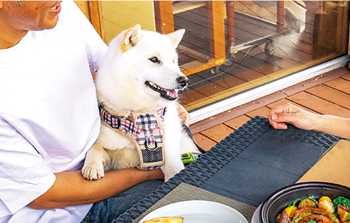 愛犬とご一緒に！