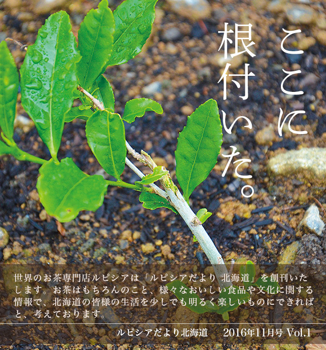ここに根付いた