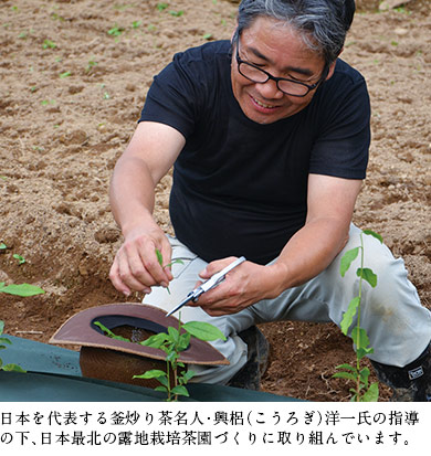日本を代表する釜炒り茶名人・興梠洋一氏の指導の下、日本最北の露地栽培茶園づくりに取り組んでいます。