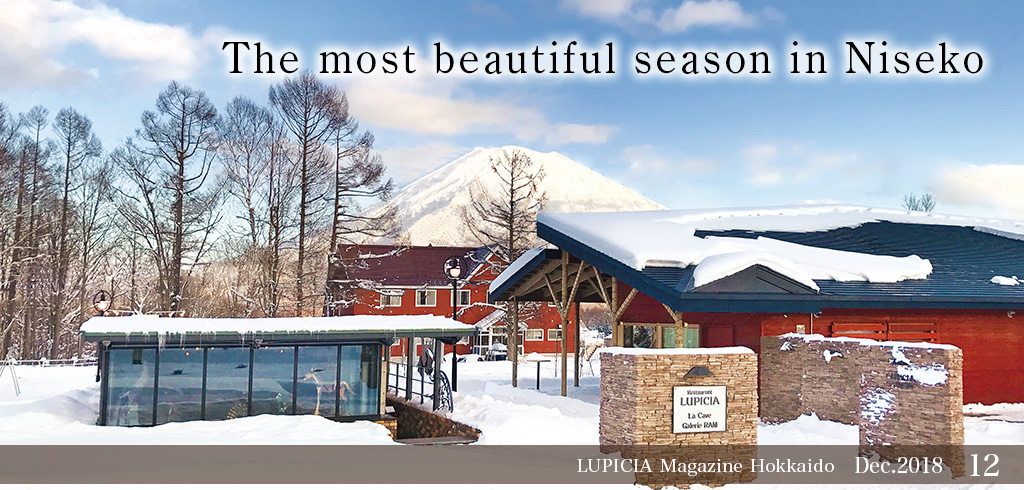 The most beautiful season in Niseko