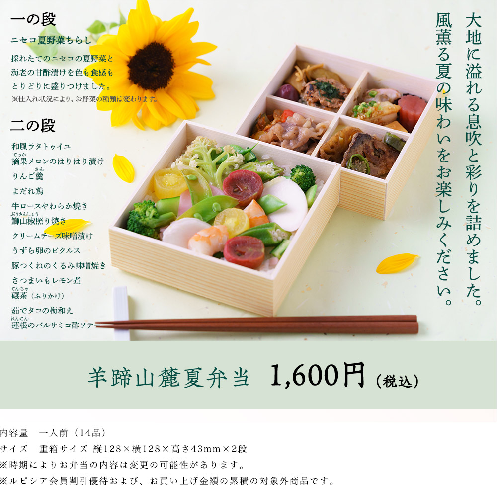 夏弁当 イメージ