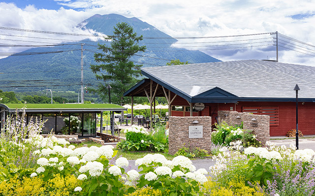 villa lupicia image レストラン夏イメージ
